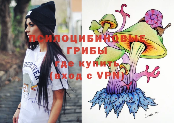 индика Михайлов