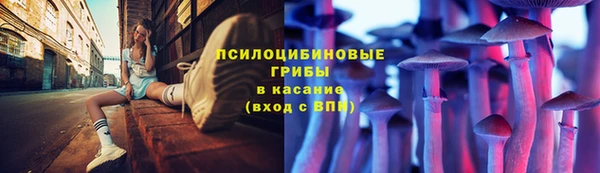 герыч Михайловск