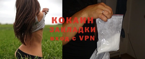 индика Михайлов
