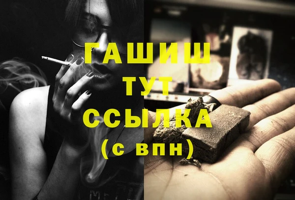 индика Михайлов