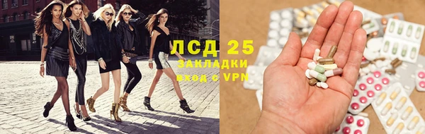 индика Михайлов