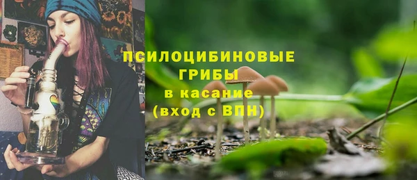 индика Михайлов