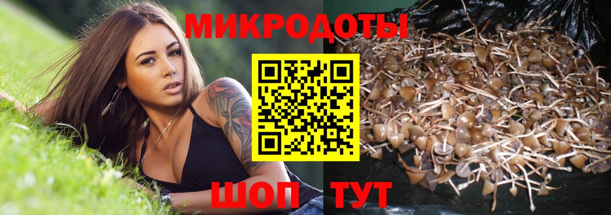 Псилоцибиновые грибы GOLDEN TEACHER Заволжье